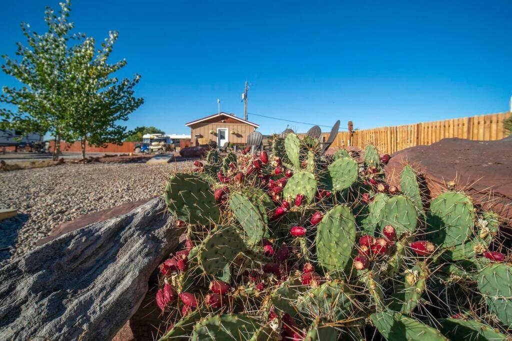 Ferienhaus Redrock Tiny House W Large Loft Site 8 Moab